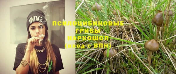 трава Алексеевка